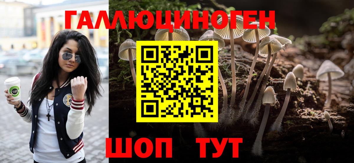 Ипатово  Галлюциногенные грибы Psilocybe  Галлюциногенные грибы GOLDEN TEACHER  Вход с VPN 